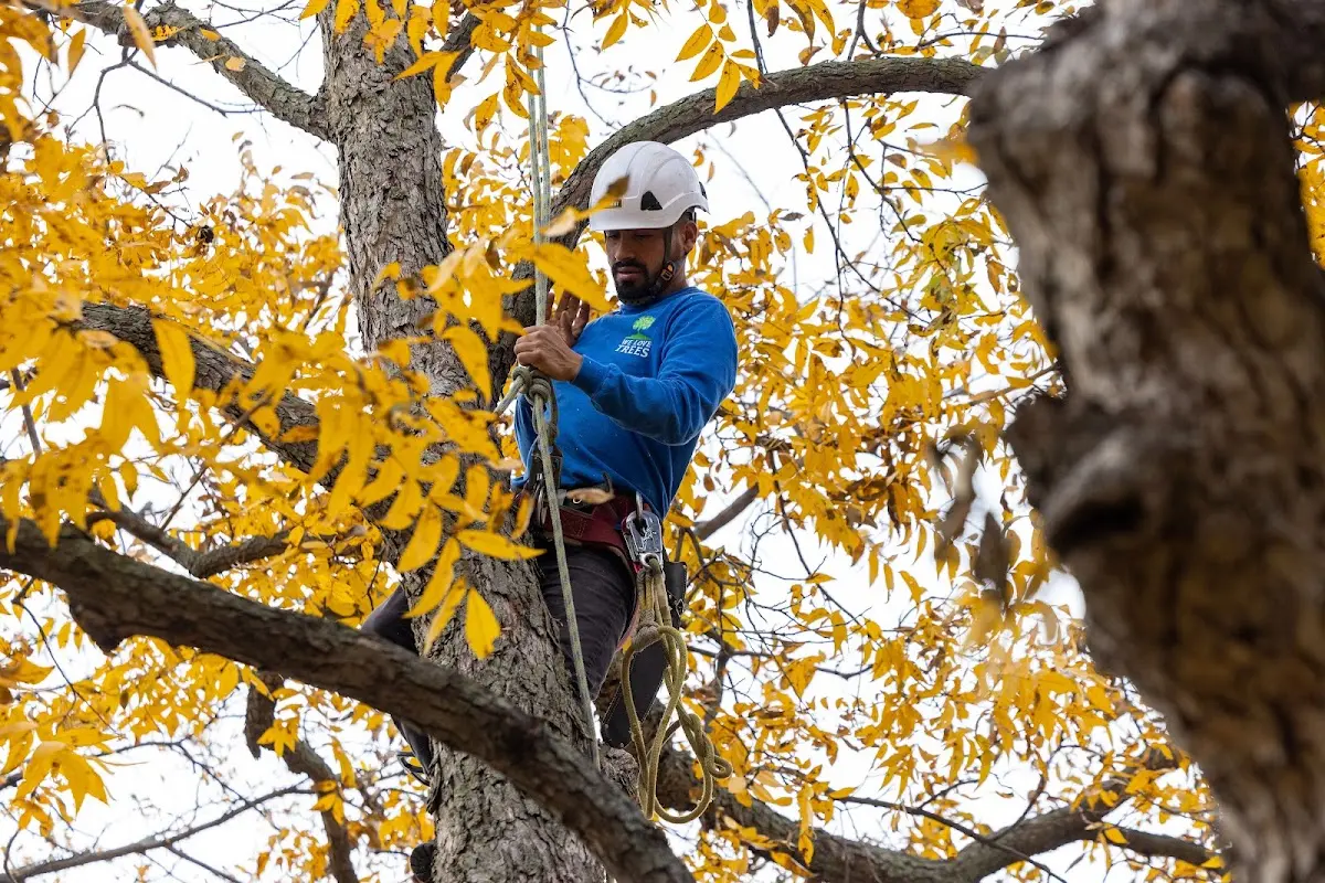 Skilled Storm Damage Cleanup crew working in Gary